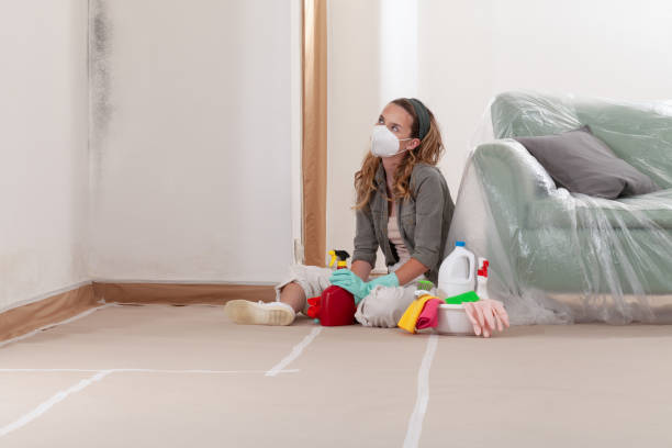 Reliable Mold Remediation contractor in Lincoln, MA by WQB Mold Removal